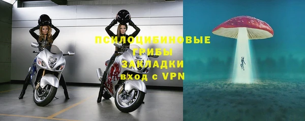 бошки Новодвинск