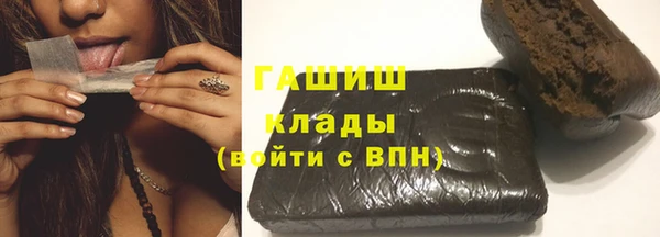 стаф Алзамай