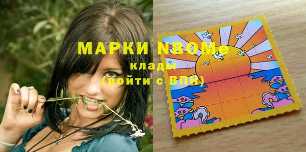 дурь Алексин