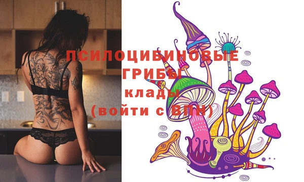 дурь Алексин