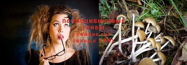 дурь Алексин