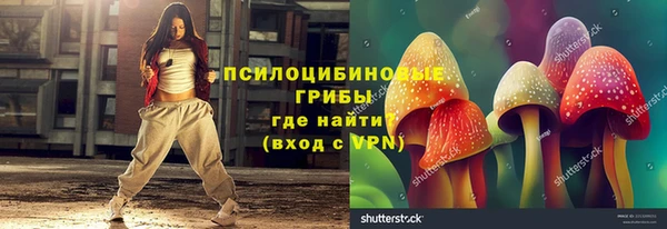 стаф Алзамай