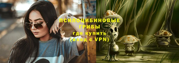 стаф Алзамай