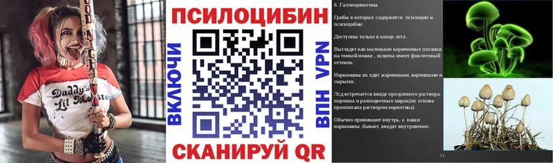 дарнет шоп  Сунжа  маркетплейс формула  Псилоцибиновые грибы Magic Shrooms 